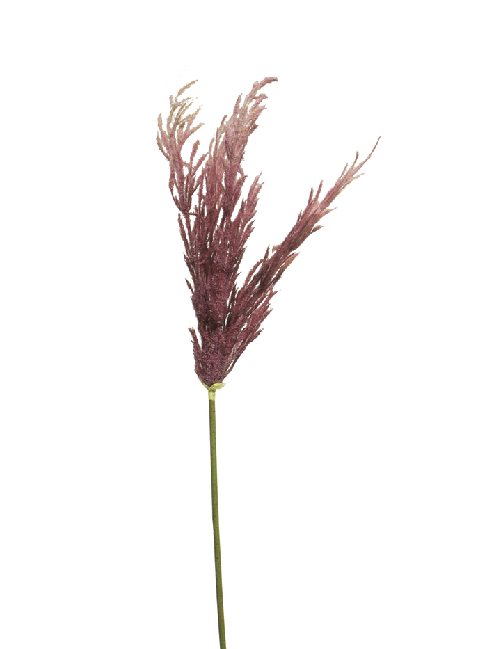 GRASS SPRAY RED 99CM Deventor