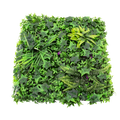 GREEN WALL 50X50CM Deventor