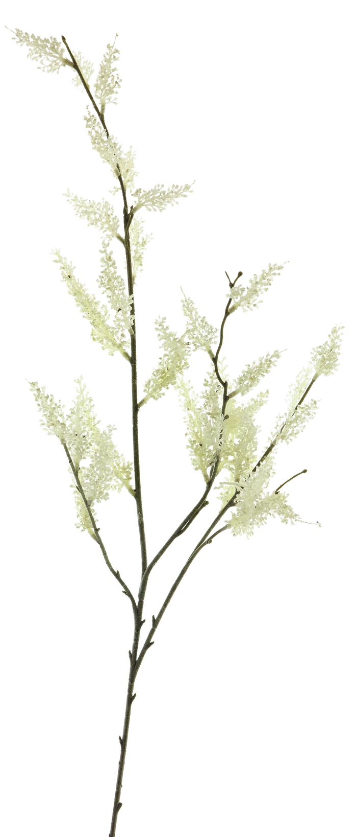 HEATHER SPRAY CREAM 103CM Deventor