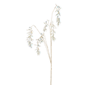 HOLOGRAFIC CREAM 135CM Deventor