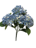 HYNDRANGEA RABE X5 BLUE 45CM Deventor