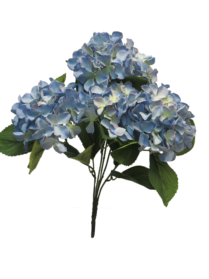 HYNDRANGEA RABE X5 BLUE 45CM Deventor