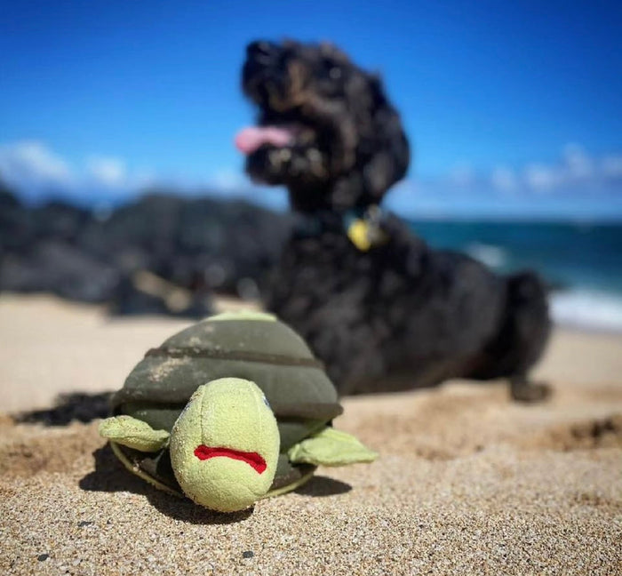 Injoya Turtle Snuffle Toy
