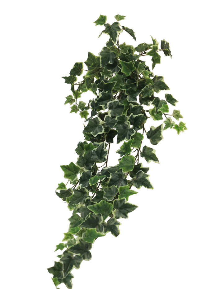 IVY HANGER 86CM Deventor