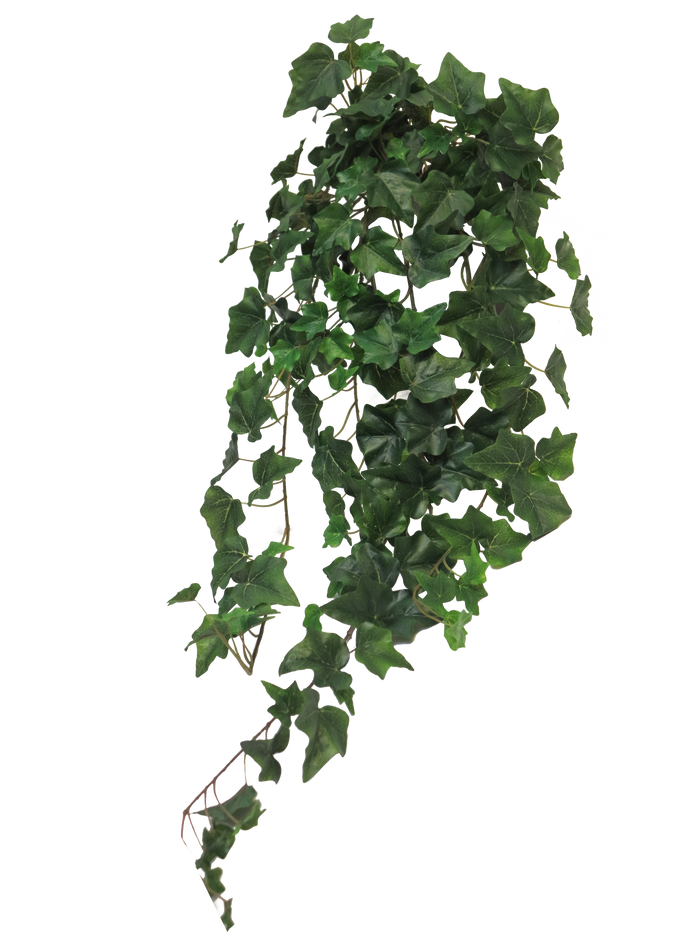 IVY LIGHT GREEN 86CM Deventor