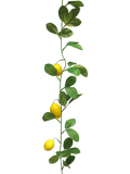 LEMON GARLAND YELLOW 180CM Deventor