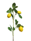 LEMON SPRAY  x3 YELLOW 74m Deventor