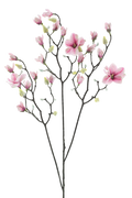 MAGNOLIA PINK 123CM Deventor