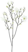 MAGNOLIA WHITE 123CM Deventor
