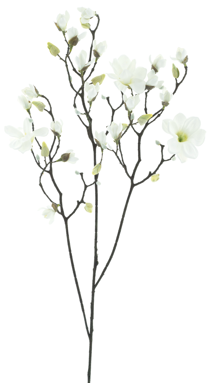 MAGNOLIA WHITE 123CM Deventor