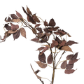 MOUNTAIN LEAF GARLAND D/BROWN 122CM Deventor