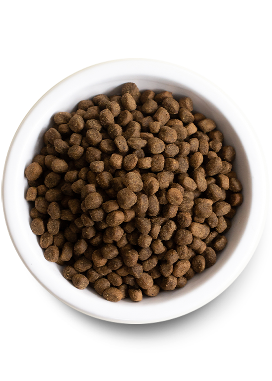 Open Farm Homestead Turkey & Chicken Grain-Free Dry Dog Food