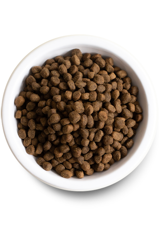 Open Farm Pasture-Raised Lamb & Ancient Grains Dry Dog Food