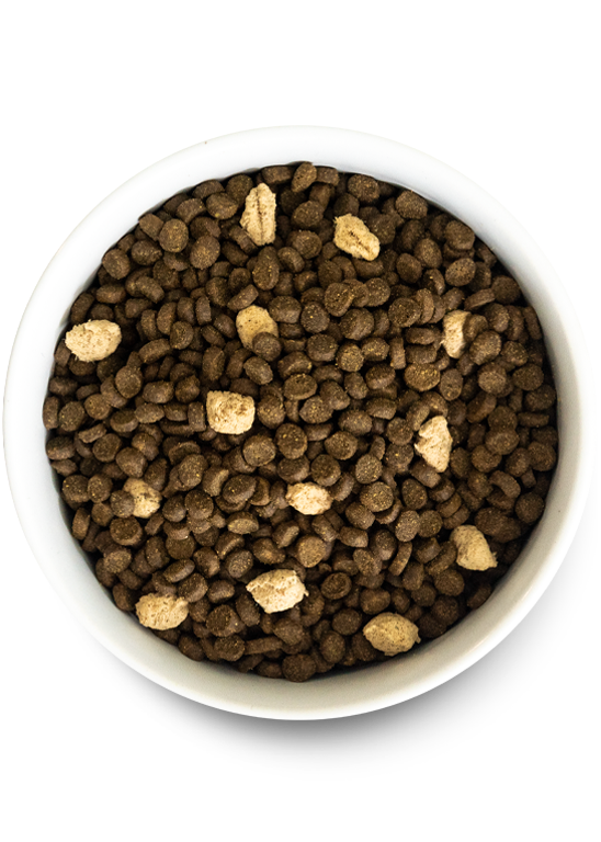 Open Farm Wild Ocean Grain-Free RawMix for Cats