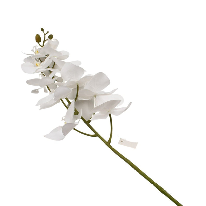 ORCHID 100CM Deventor