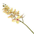 ORCHID 100CM Deventor