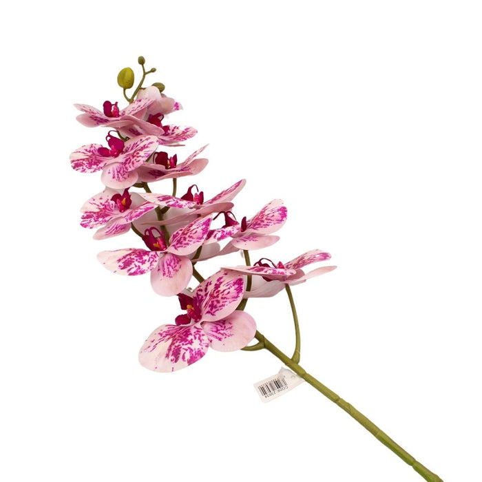 ORCHID 100CM Deventor