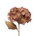 ORTANSIA OLD PINK 81CM Deventor