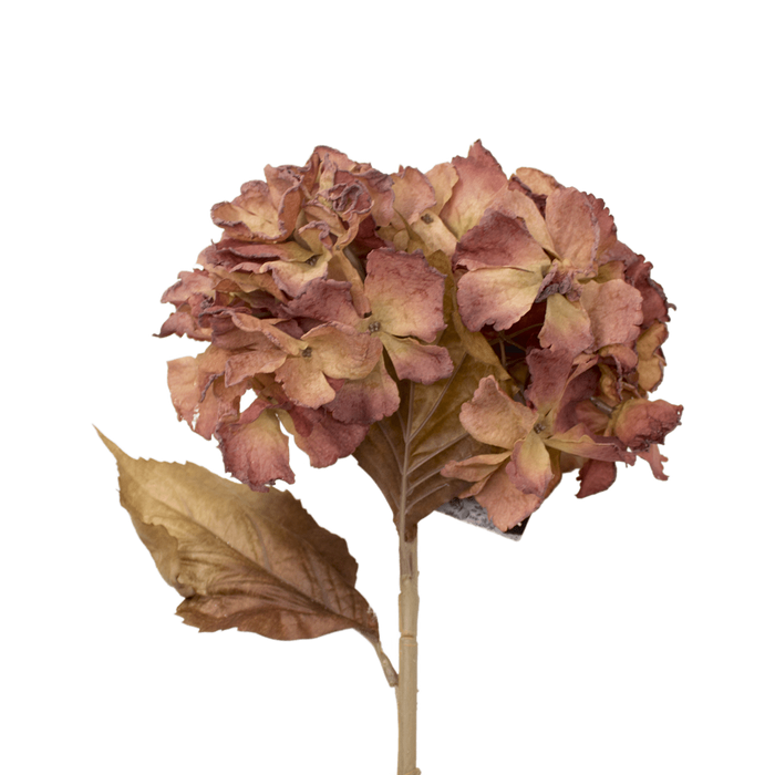 ORTANSIA OLD PINK 81CM Deventor