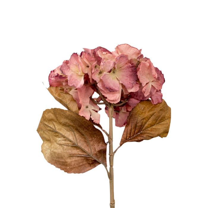 ORTANSIA PINK 81CM Deventor