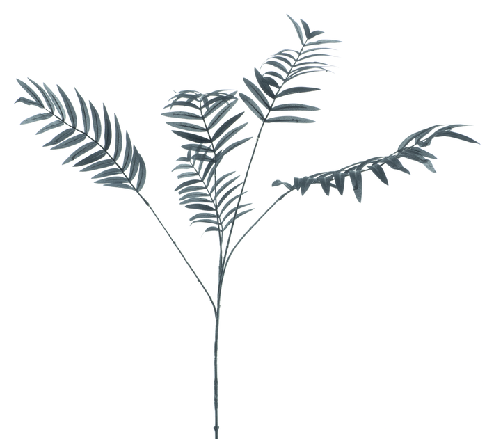 PALM SPRAY BLACK 110CM Deventor