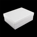 PAPER BOX 25X19X9CM Deventor
