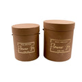 PAPER BOX BROWN S/2 Deventor