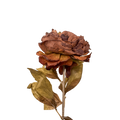PEONY BROWN 79CM Deventor