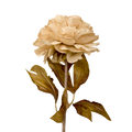 PEONY CREAM 79CM Deventor