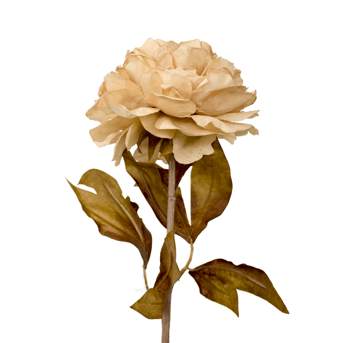 PEONY CREAM 79CM Deventor