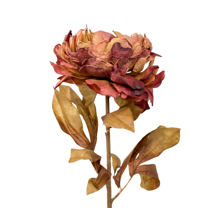 PEONY OLD PINK 79CM Deventor