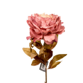 PEONY PINK 79CM Deventor