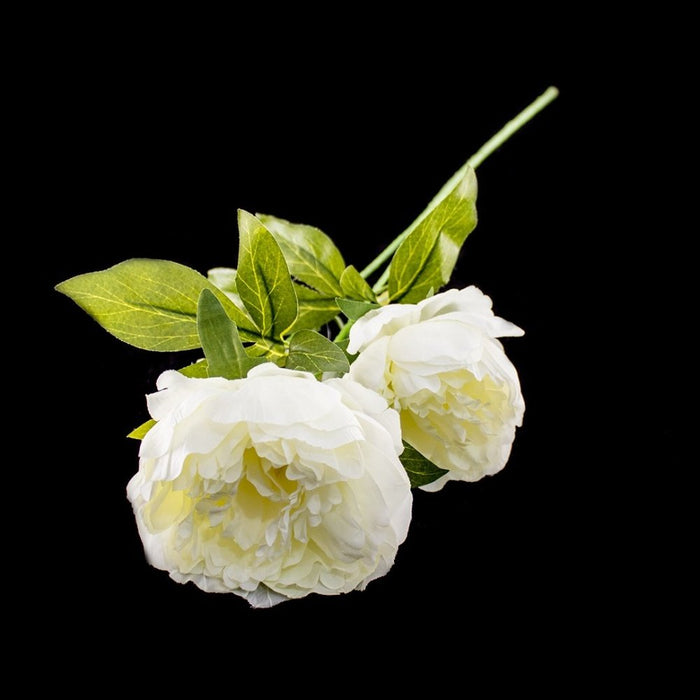 Peony Stem - Deventor