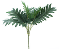 PHILIDENDRON GREEN 41CM Deventor