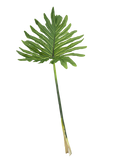 PHILODENDRON LEAF GREEN 93CM Deventor