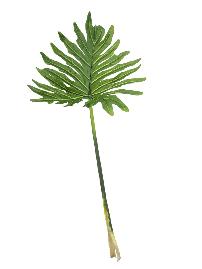 PHILODENDRON LEAF GREEN 93CM Deventor