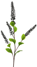 PHYTOLACCA SPRAY BLACK/PURPLE 98CM Deventor