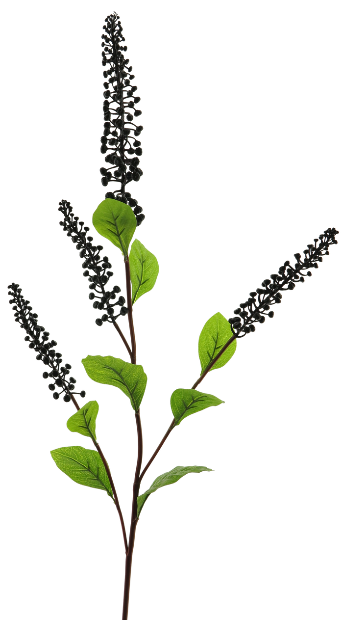PHYTOLACCA SPRAY BLACK/PURPLE 98CM Deventor