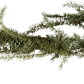 PINE GARLAND W/CONE 178CM Deventor