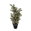 PINE TREE RENAN 60CM WITH SNOW Deventor
