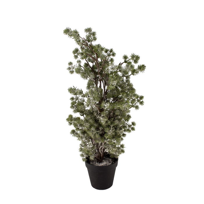 PINE TREE RENAN 60CM WITH SNOW Deventor