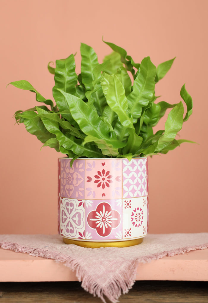 PINK POT 13 X 12.5CM Deventor