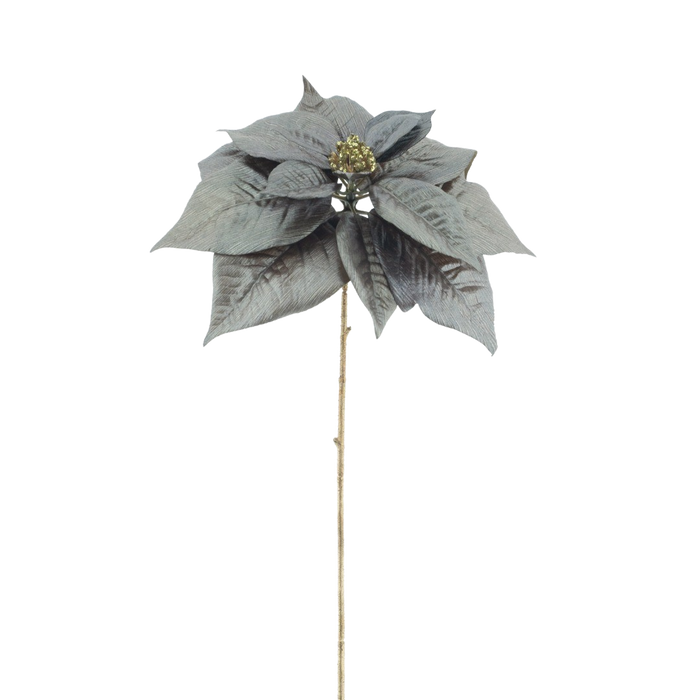 POINSETTIA BROWN  70CM Deventor