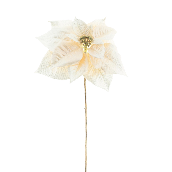 POINSETTIA CREAM 70CM Deventor
