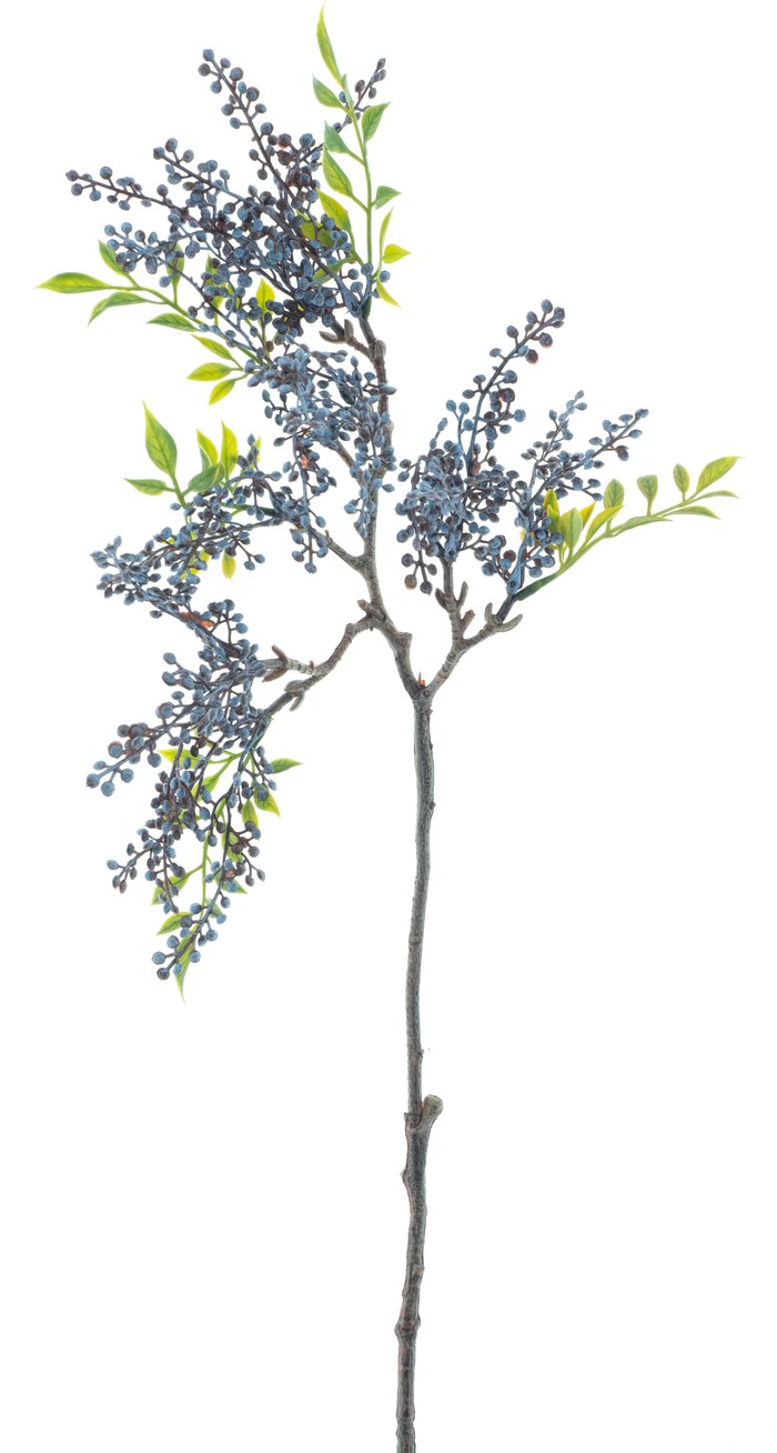 POKE BERRY BLUE 66CM Deventor