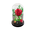 PRESERVE ROSE IN DOME 10X18CM RED Deventor