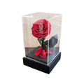 PRESERVE ROSE IN DOME 12X20CM RED Deventor