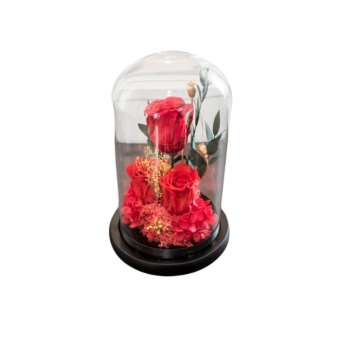 PRESERVE ROSE IN DOME 12X20CM RED Deventor