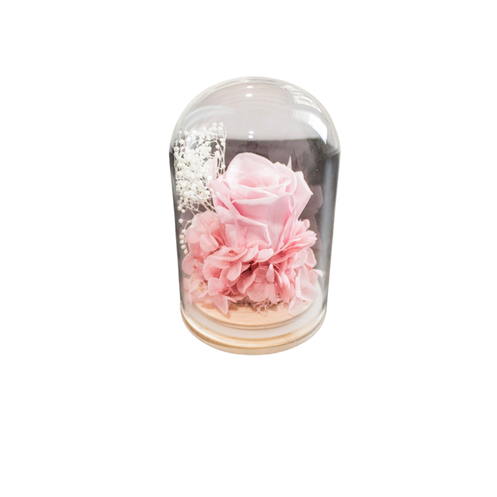 PRESERVE ROSE IN DOME 8X12CM PINK Deventor