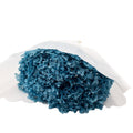 PRESERVED ORTANSIA BLUE Deventor